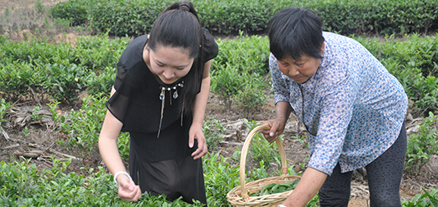 王鈞：“越努力、越幸運”的“90”后“茶姑”